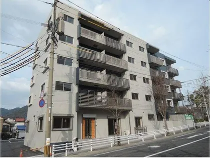 フォルツァ ドット ミユの画像