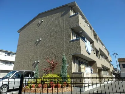 デルタオッツの画像