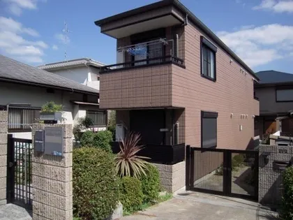 ポトス売布の画像