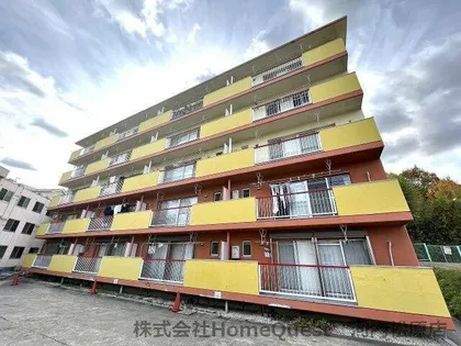 ライトコートの画像