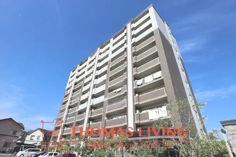 ルシオーレの画像