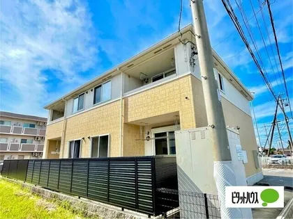 エンジェルステラの画像