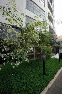 サムティ警固タワーの画像