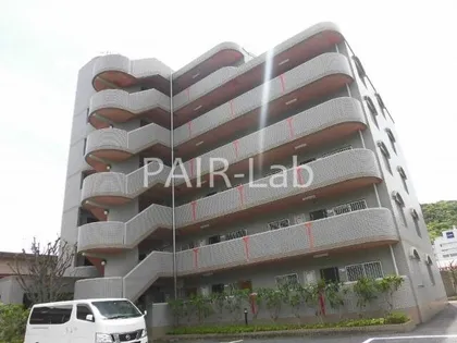 バレルビラの画像