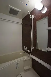 サヴォイ ラ ピエル サフィールの画像