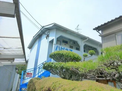 ハピネスの画像