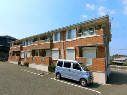 プラシードの画像