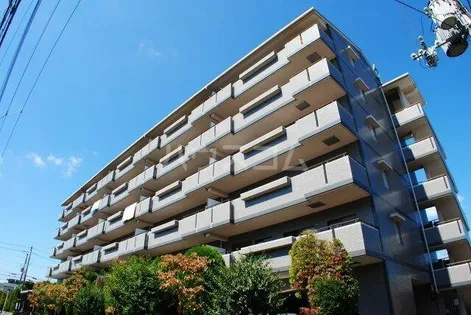 カプリコーナスの画像