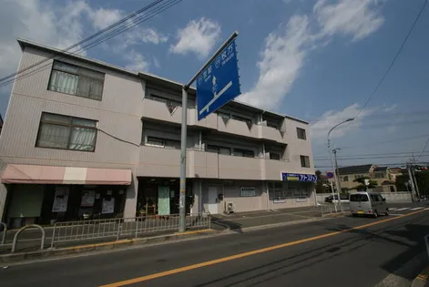 ラベンダー真上の画像