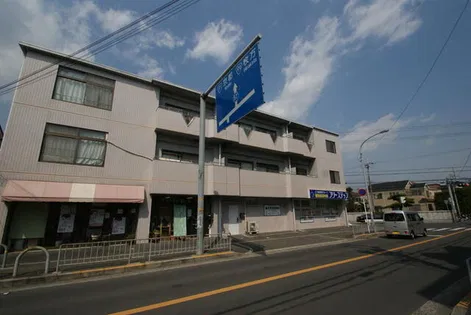 ラベンダー真上の画像