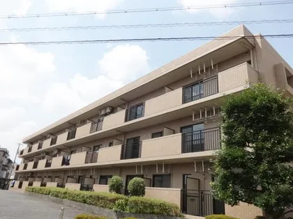 DEAR COURT明の春の画像