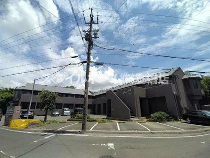 セザンヌ野依の画像