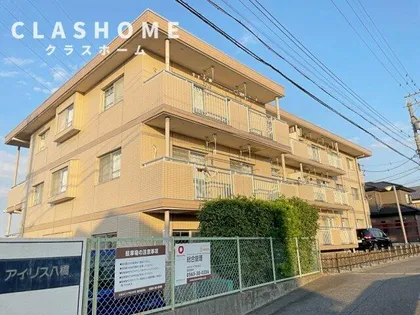 アイリス八橋の画像