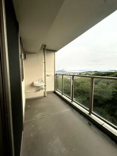 ザ・パークハウス桜坂サンリヤン【19階】の内装