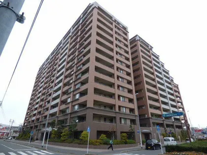 MJR和白丘の画像