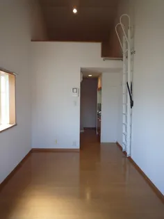 ファーストドリームの画像