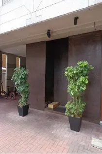 リベルタス大名の画像