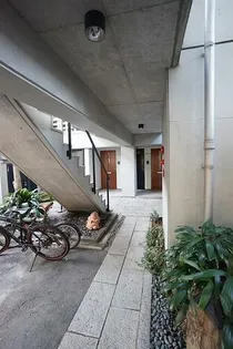 エオリアーナの画像