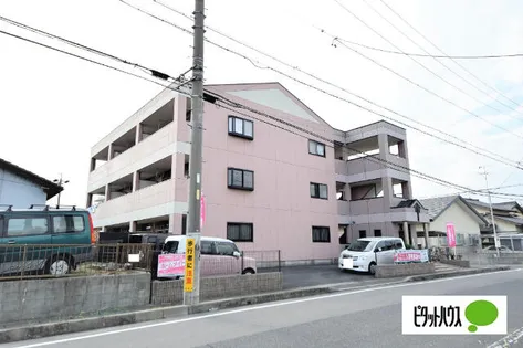 アムールの画像