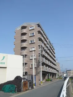 リバーシャトー空港の画像