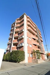 ハイライズミチホの画像