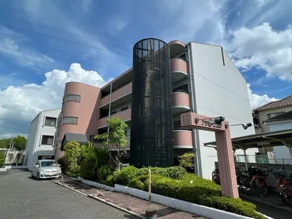 アデューウエダの画像