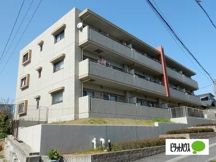 ルミエールの画像