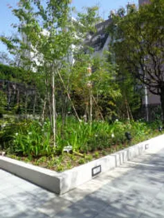 サンリベラ・プライム天神大名レジデンス【8階】のその他画像