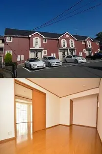 ダンディーライオンAの画像