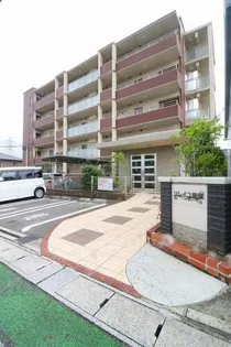 ソレイユ原田の画像