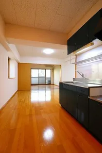 リバティエアコートの画像