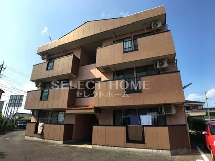 ザ ブライトンの画像