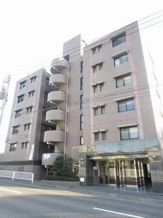 パロリブルの画像