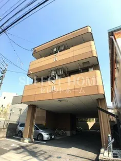 ハイムピラの画像