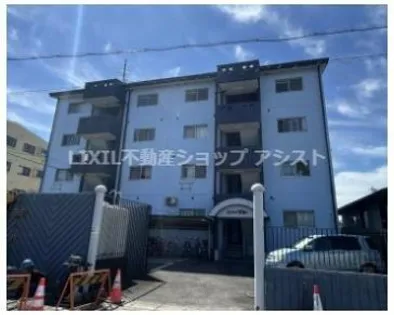 メゾンドタミーの画像