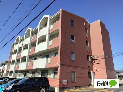 ココルーナの画像