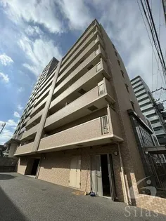 アムール Mの画像