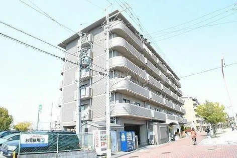 ヴィオラ千里の画像