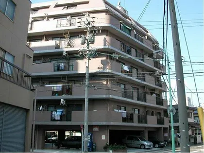 グレースイナガキの画像