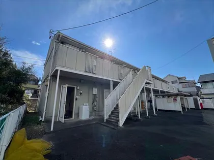 ビオラ栄の画像