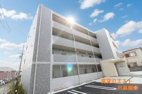 カメリア Yの画像