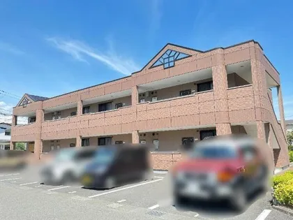 ホワイトベルの画像