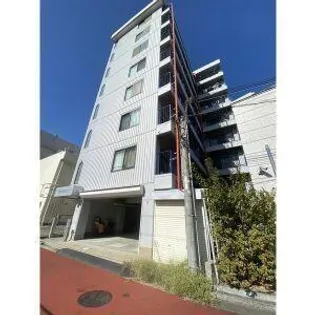 ステラ21の画像