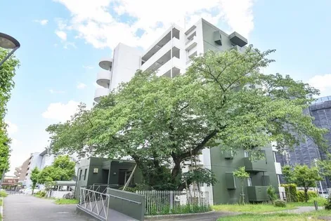 URアーバンラフレ鳩岡の画像