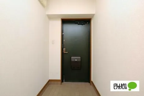 アズール【3階】の玄関