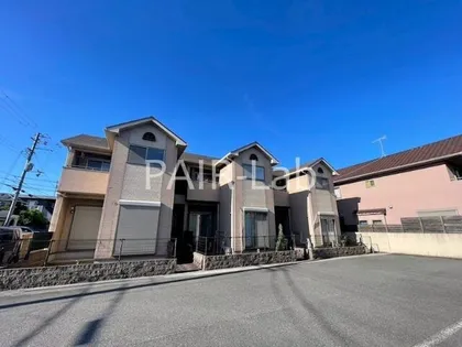 フェザントアイIIの画像