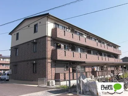 セジュール和幸 Cの画像