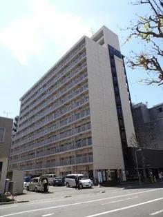 ノースタウンハウス【10階】の外観