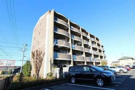 サニーブライトの画像