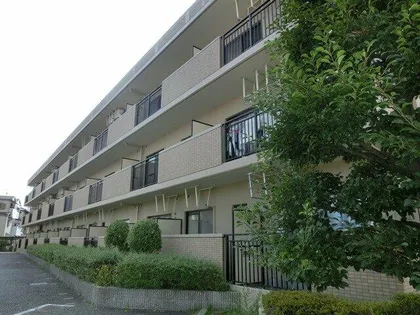 DEAR COURT明の春の画像